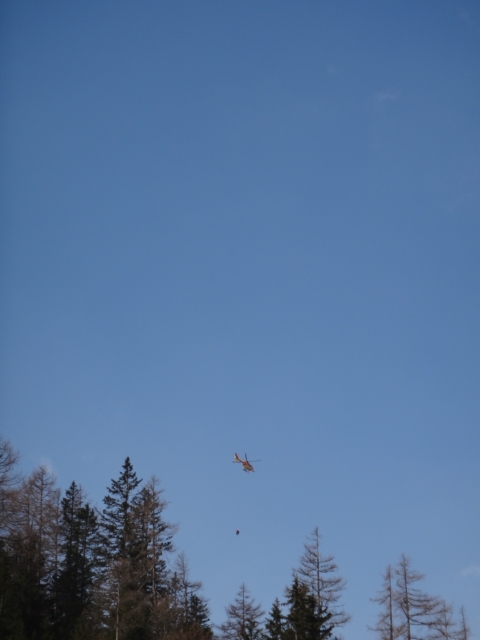 458x617 pixels (122K)