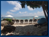 View of the beach from the shade