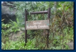The Butterfly Garden