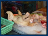 Anyone for pigs head