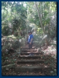 Steps up to a Budist Temple