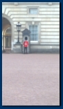 A Guard at Buckingham Palace