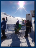 A skiing Dinosaus