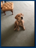 Butter wouldn't melt
