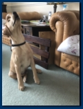 What's that up there