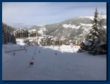 La tania in focus
