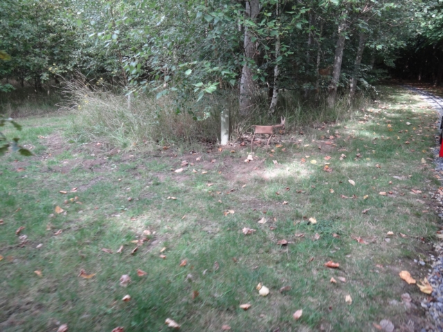 618x457 pixels (305K)