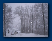 Snowing !!!