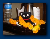 Jelly Cat arrive in India