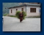 A hard Life for the Locals