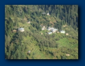 Houses on a Hillside