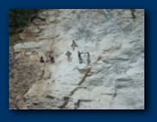 Close up of the Workers Clearing the loose rocks from the Rock Face