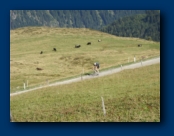 Hats off to anyone who Cycles up the Passes