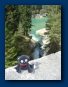 Jelly Cat studdies the View