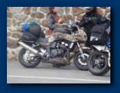 Nice Paint Job, really captured the Fur Affect
