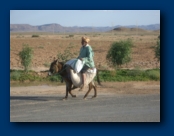 Little man on a Donkey