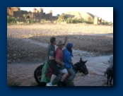 Giddy up