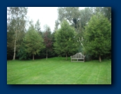 The Garden at the Cottage
