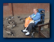 Feeding the Birds