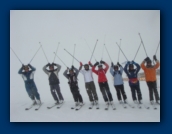 Mooses in the Snow