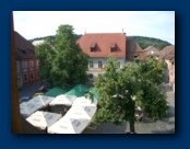 The Square