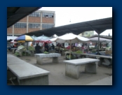 Local Market