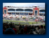 The Grid forms for the MotoGP