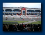 The Flag drop and the Race Starts