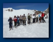 The Group